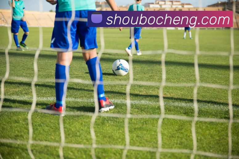 九游体育APP 封面图