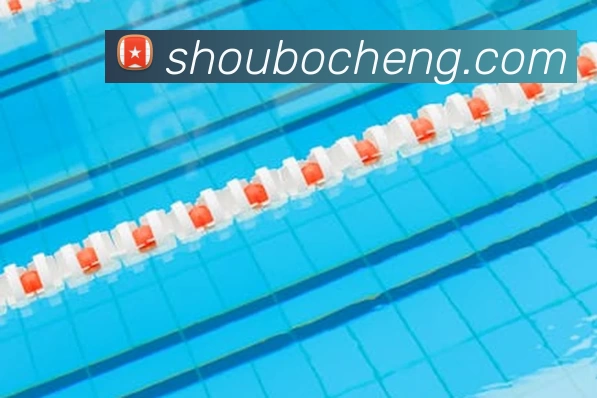 奖项证书